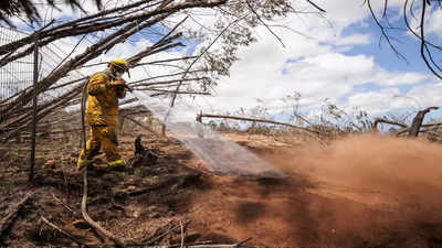 Hawaiian electric draws scrutiny in search for what sparked deadly wildfire
