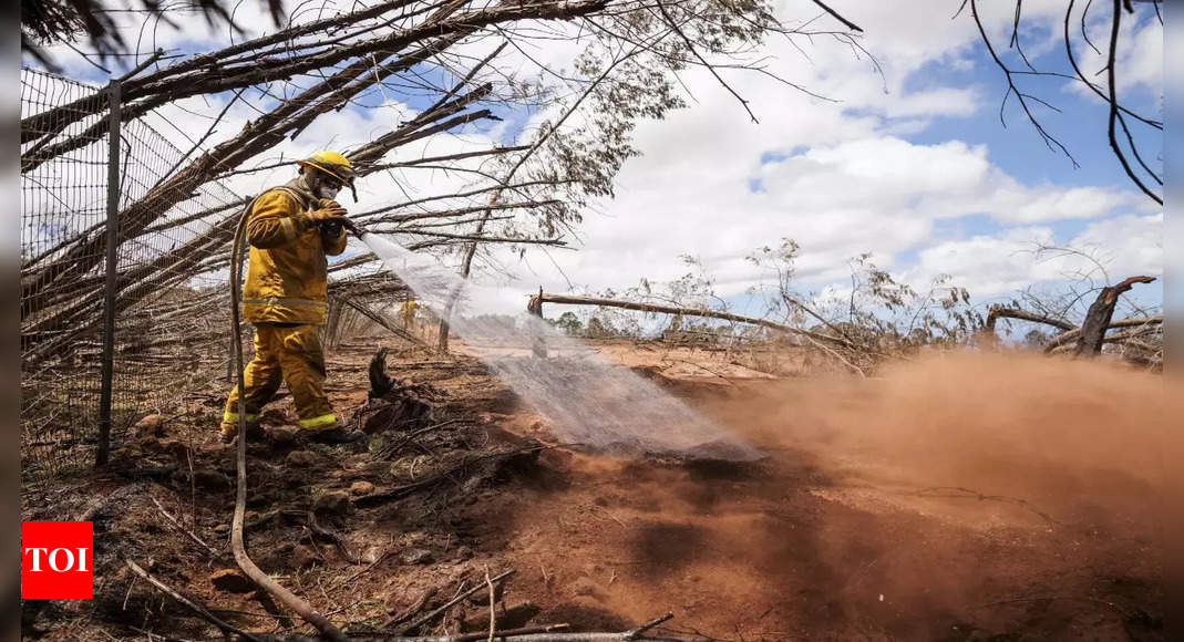 Hawaiian Electric: Hawaiian electric draws scrutiny in search for what sparked deadly wildfire