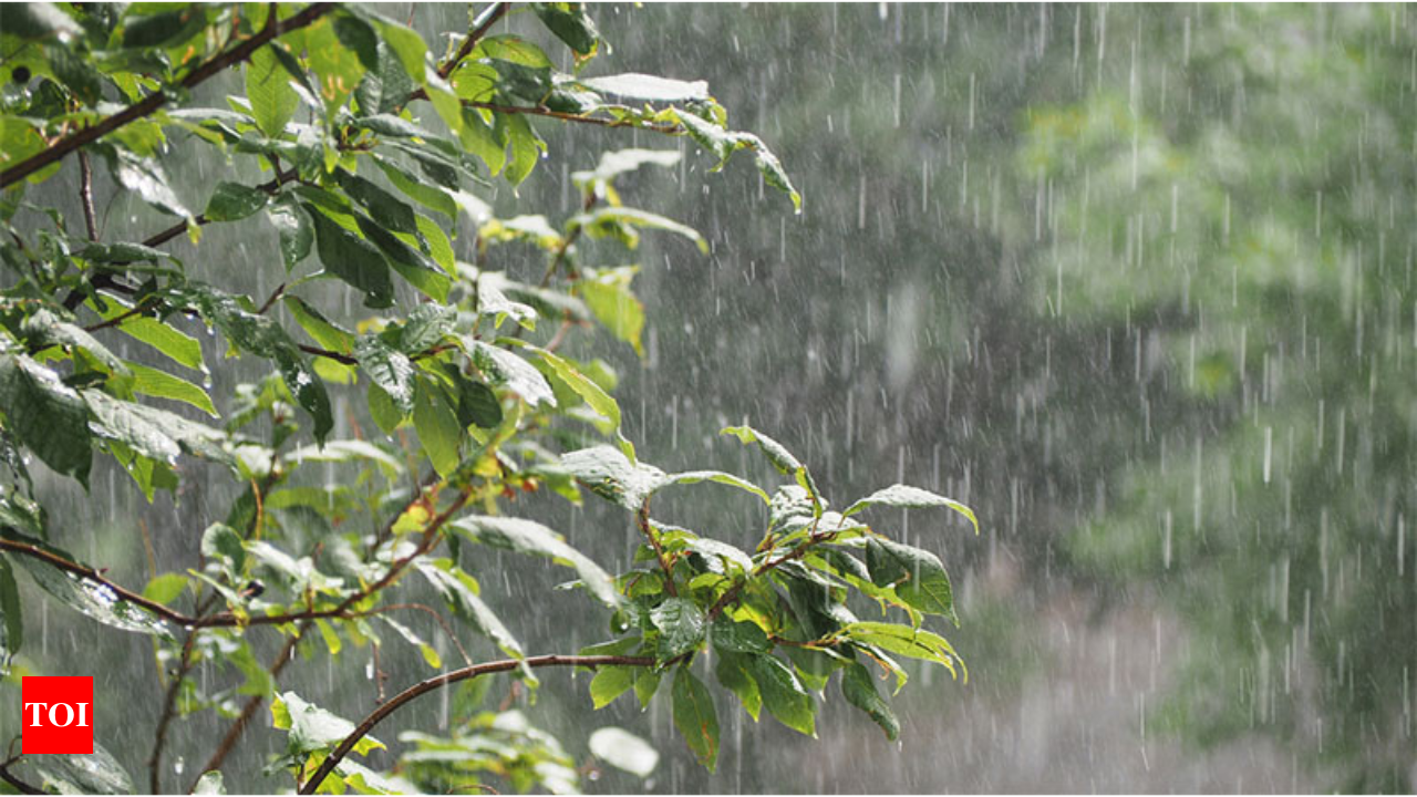 Bangalore Rains: 40% rain deficit in August pushes Bengaluru's temperature  up