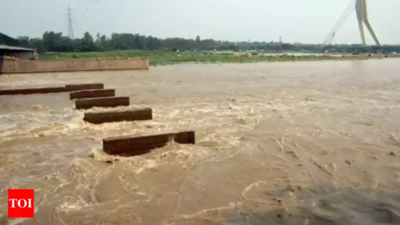 Yamuna water level crosses danger mark