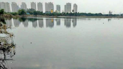 Hindon turns dark again, dead fish float; pollution board says will examine samples