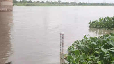 Yamuna water recedes after crossing danger mark in Delhi