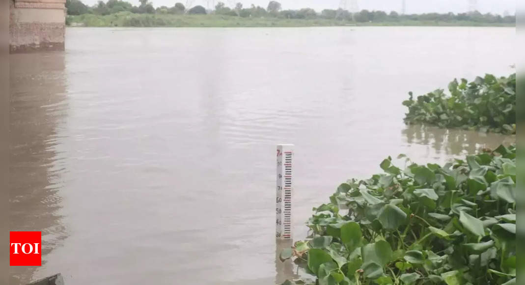 Yamuna Water Level Yamuna Water Recedes After Crossing Danger Mark In Delhi Delhi News 4767