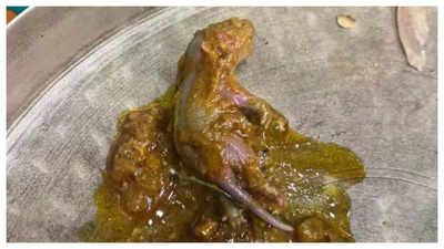 Shocking! Dead rat found in food of a Mumbai restaurant