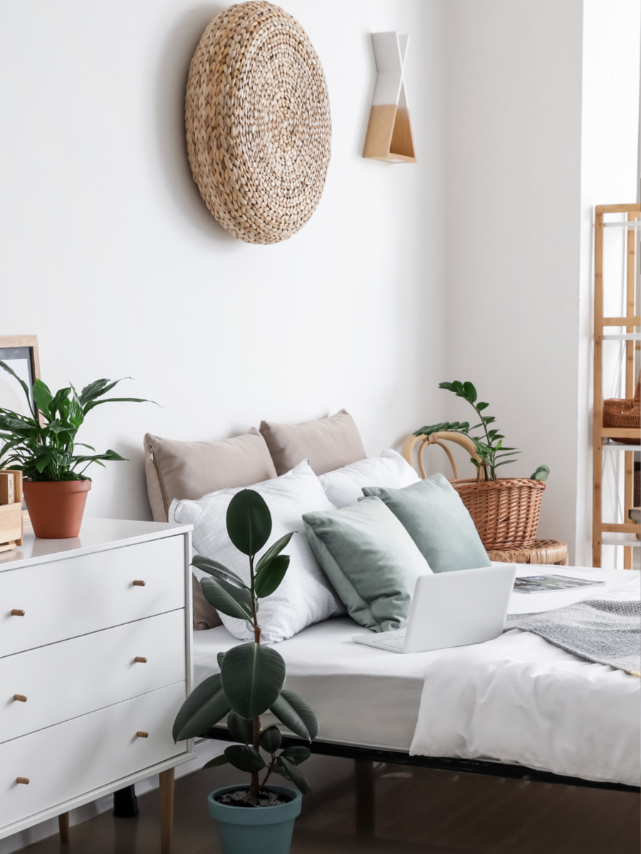 5 Plants to keep in your bedroom Times of India
