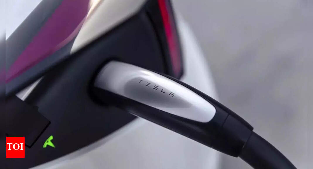 Edmunds: Tesla wins the EV charge plug format war - Times of India