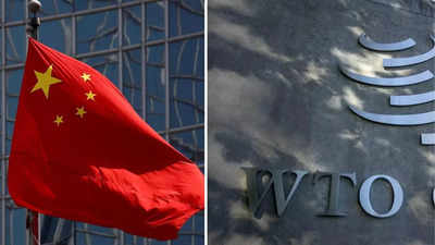 WTO Rules Against China Retaliatory Tariffs On US Imports - Times Of India