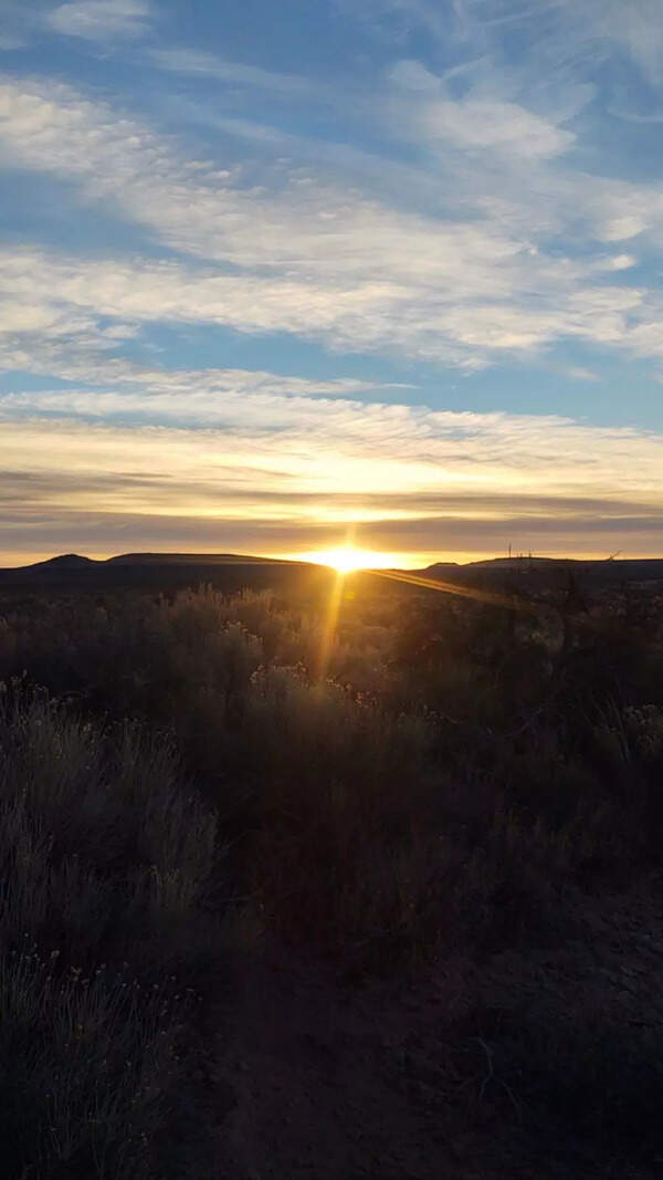 7 Reasons to Wake Up Early Every Day