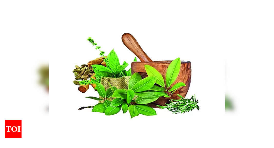 Traditional Medicine Chance To Showcase India S Expertise   Photo 