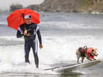 ​Canines show off their skills and conquer the waves at World Dog Surfing Championships