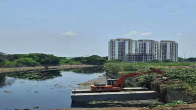 Chennai mayor inspects Otteri Nullah desilting work