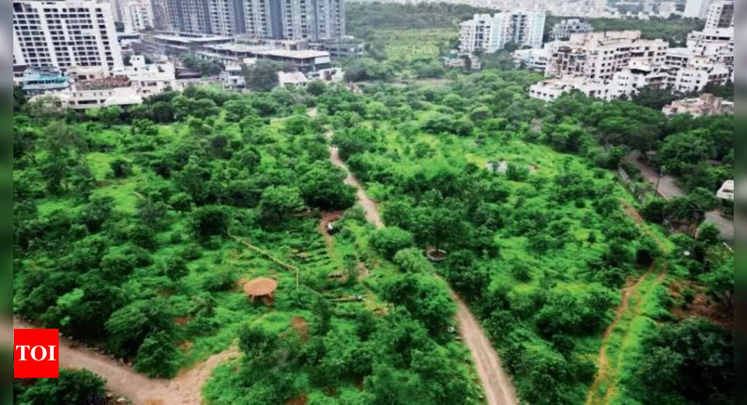 How Anandvan became a forest | Pune News - Times of India