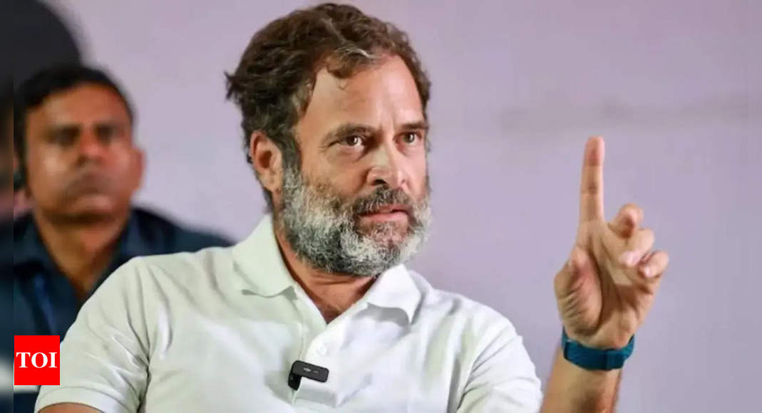 2024 Lok Sabha Elections: Rahul Gandhi Will Contest From Amethi, Says ...