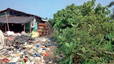 Illegal plastic sorting, recycling units choking East Kolkata Wetlands: Survey