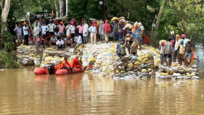 Punjab: Beas river water levels decrease, Dera settlements remain submerged