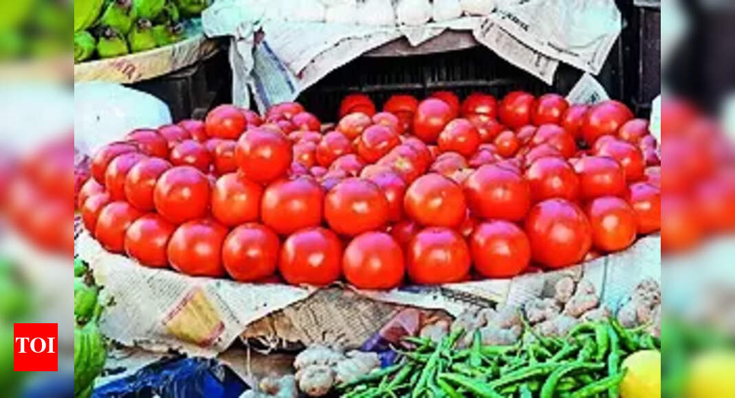 From Rs 260 peak, tomato now down to under Rs 100/kg – Times of India