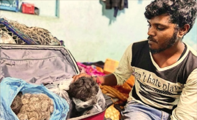 The hairy story behind India’s ‘black gold’ exports | India News - The