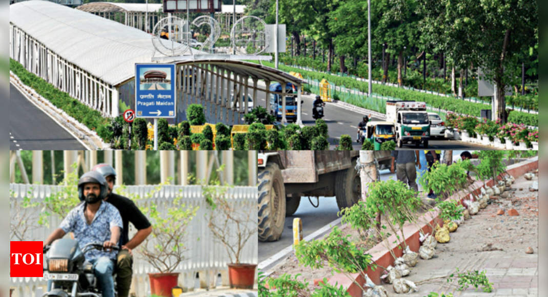 G20 summit in Delhi: Potted plants to fill in for green spaces | Delhi News