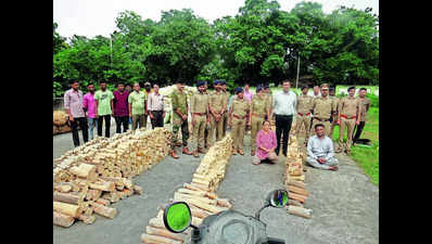 Well-oiled sandalwood theft, trade racket busted