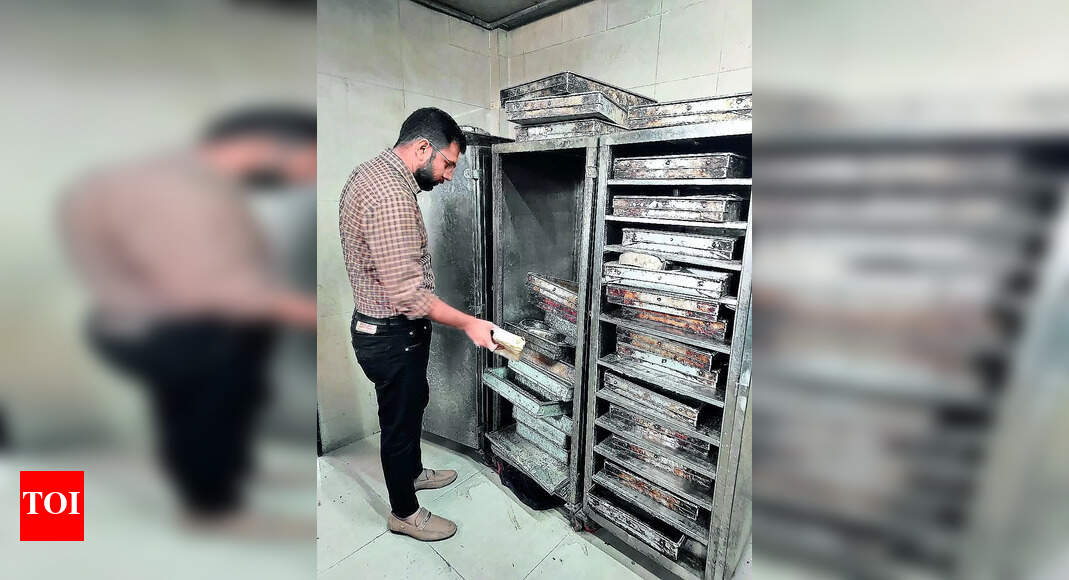 Weight Loss: 140kg Of Unhygienic Bread Destroyed | Rajkot News - Times ...