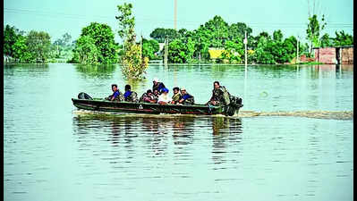 Satluj river in spate, submerges 3 dozen villages in border districts of Fazilka & Ferozepur