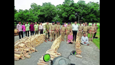1,000kg stolen sandalwood seized