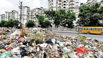 LMC takes garbage collection charge but scenario still grim