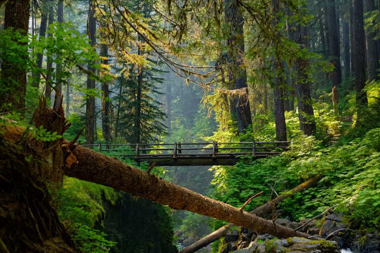 Olympic National Park