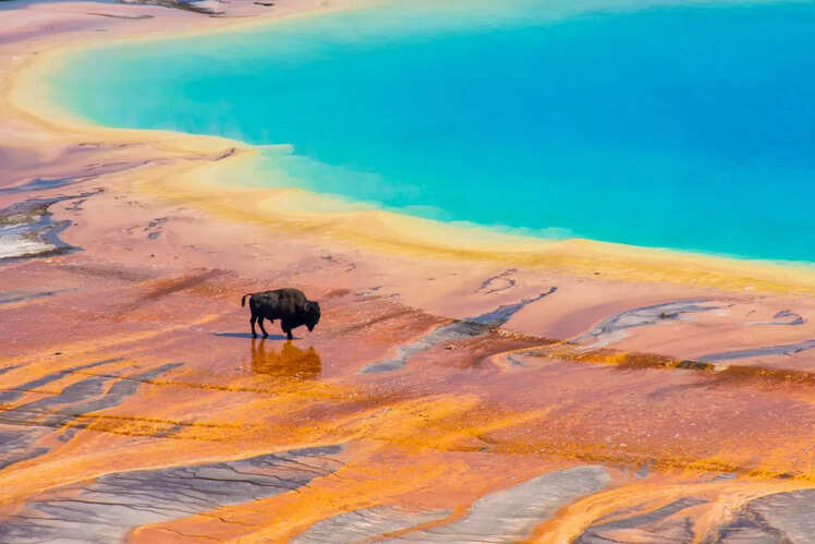 Yellowstone National Park
