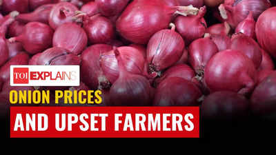 Why farmers are upset over onion prices and govt's rein
