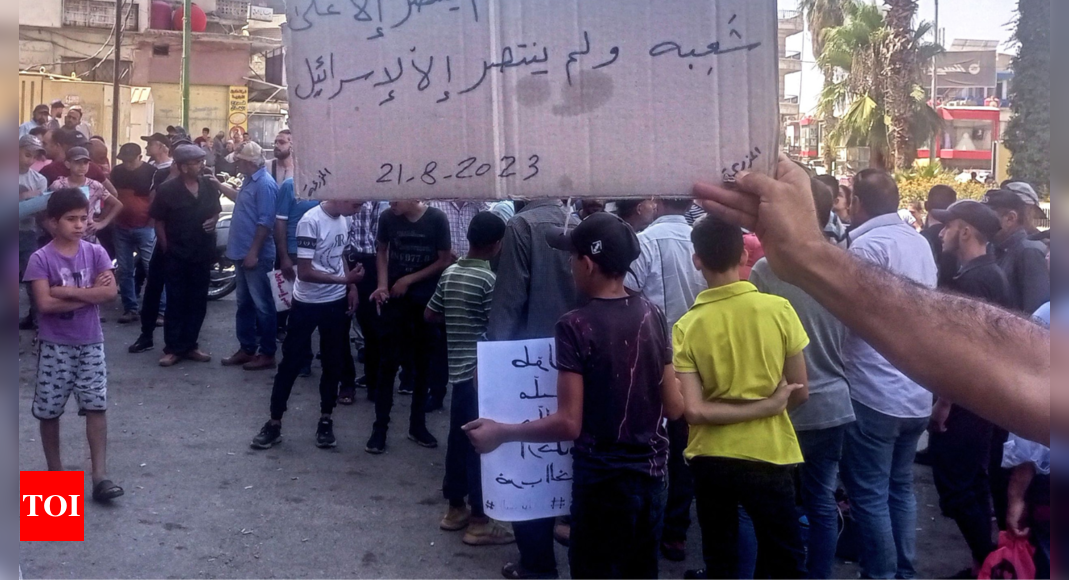 Syria: Protesters renew rallies in south Syria over living conditions