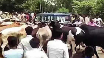 90 booked for blocking UP min's convoy with stray cattle