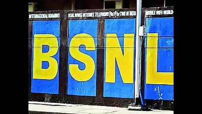 Agent uses BSNL fibre to provide net service of pvt firm