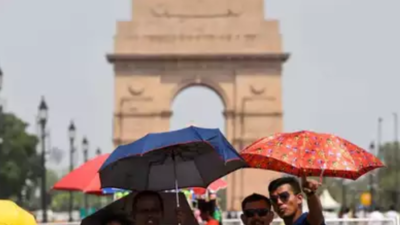 Delhi's warmest August day since 2019, respite likely today