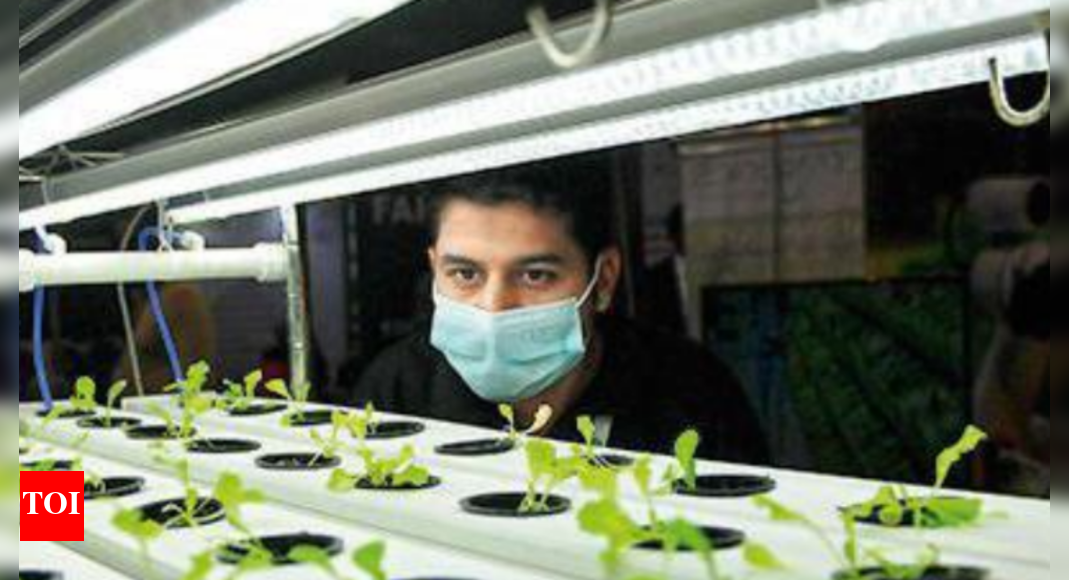 10,000 Delhiites to get training in urban farming at 400 workshops ...