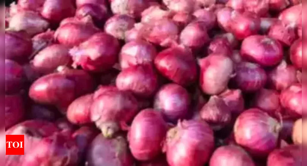 Why onion traders want government to set a floor price for export duty – Times of India