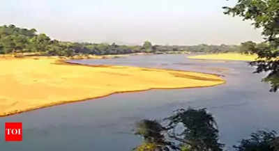 Why Centre is planning a Rs 12,000 crore inland waterway on Odisha’s Brahmani river