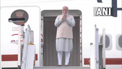 PM Modi's Johannesburg visit will 'boost India, South Africa economic ties': Indian diaspora member