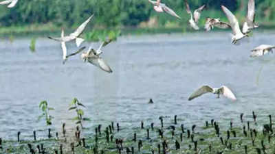 Tamil Nadu awaiting Ramsar site notification of two more wetlands