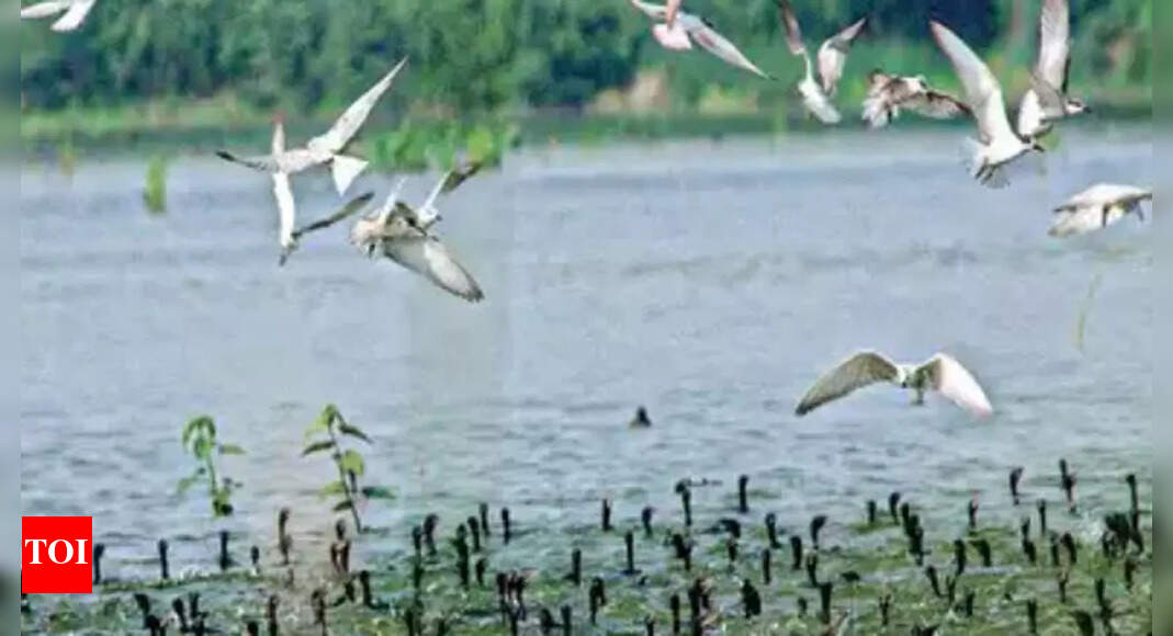 Tamil Nadu awaiting Ramsar site notification of two more wetlands