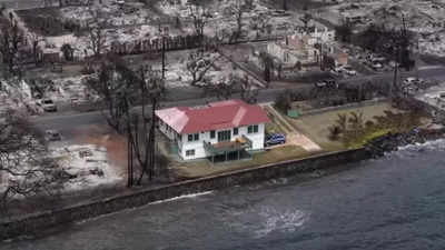 THIS 100-year-old red-roofed house survived the Maui fires in Hawaii ...