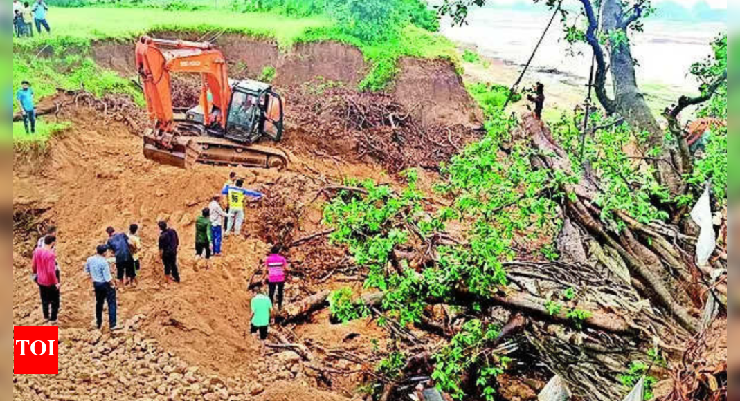 Money grows for this banyan tree! Vadodara News Times of India