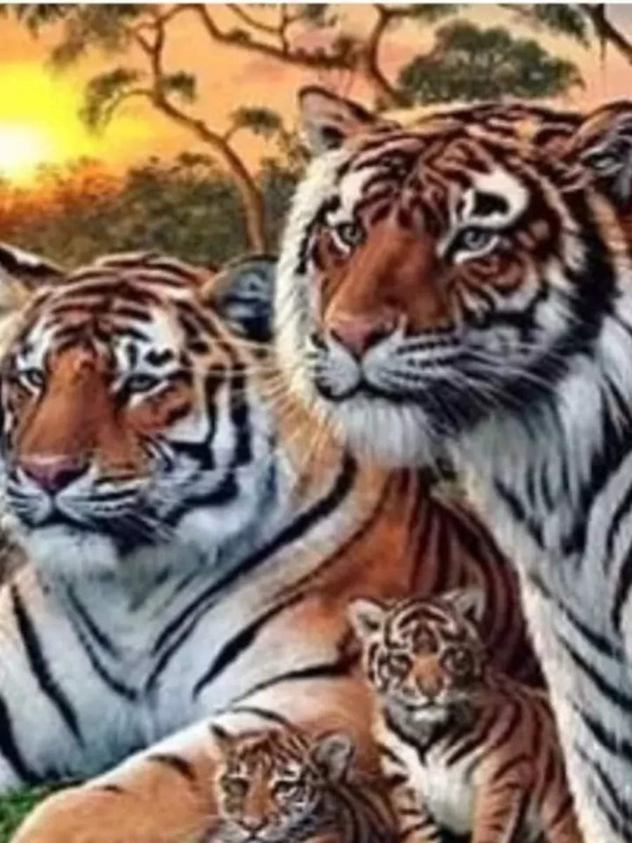 Optical Illusion: Find All 16 Tigers Within 60 Seconds | Times Now