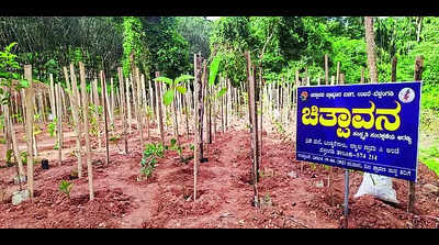Forest with spiritual touch being developed in Belthangady taluk