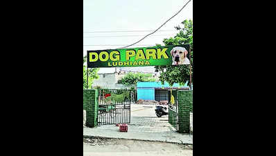 Dedicated park for your canine companions likely to open soon