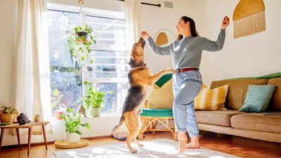International Dog Day: 10 ways to celebrate International Dog Day 2023
