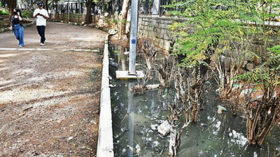 Lake pollution: KBR Park, Hyderabad's carbon sink, stinks