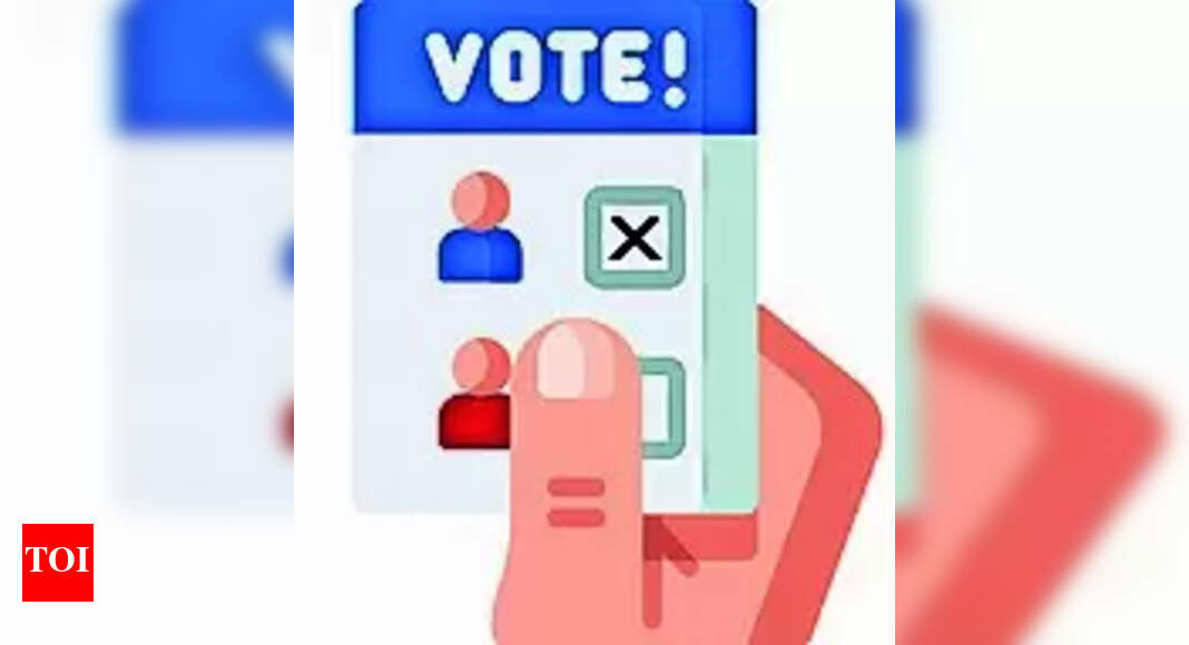 Human: Poll Roll Deletions From ’22 To Be Re-verified | Vijayawada News ...