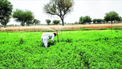Now, farmers will get power only during night across Rajasthan