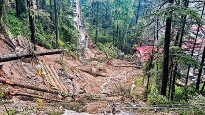 Destruction pours in Himachal Pradesh: Death toll reaches 242; 400 roads blocked; red alert for 6 districts, flash flood warning for 9